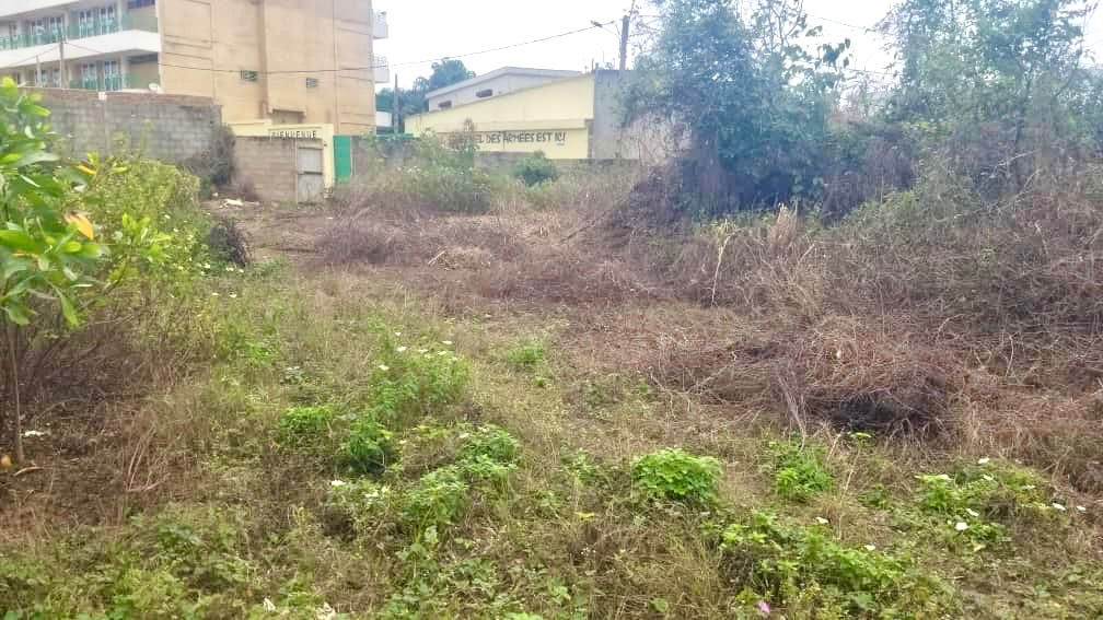 3c3e2e1f-cc21-425a-94e1-aa0c58da22c8