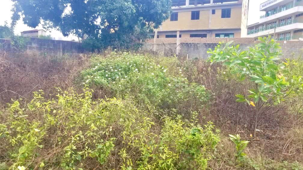 bebb107e-a0ba-49c7-9f29-1c81999426b2