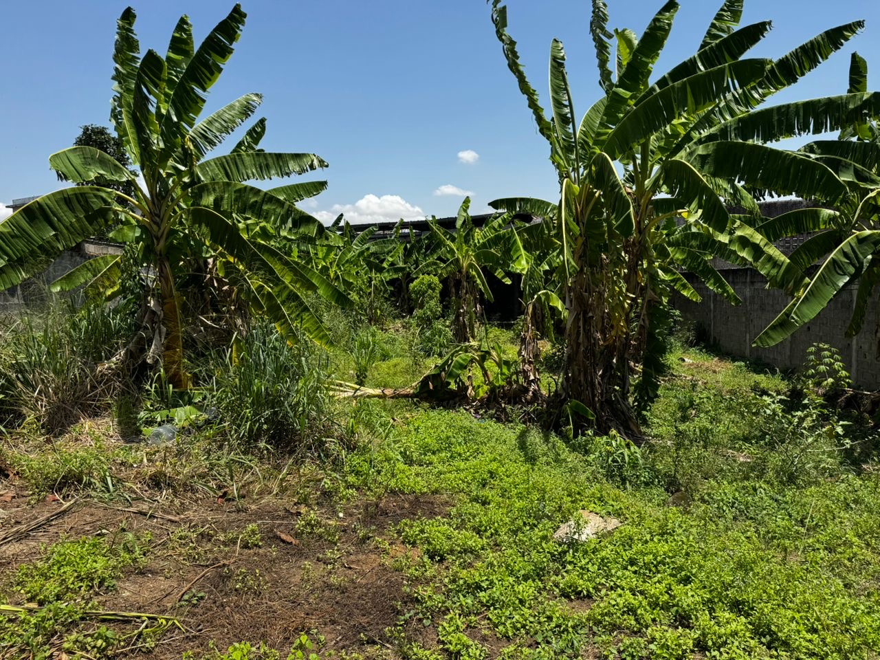 1d887598-10cb-4e96-826e-b57e05b869a5