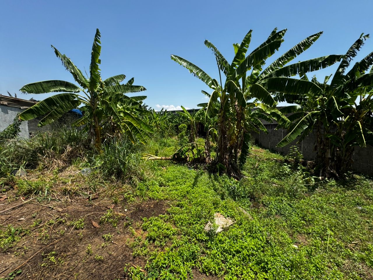 24260ea2-3bd2-42b8-ae28-dd23387de94c