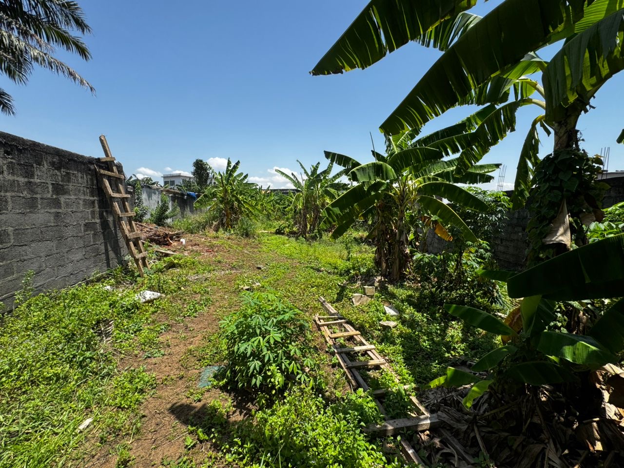 3ed757aa-14d2-403c-9bc9-b60969b8382a