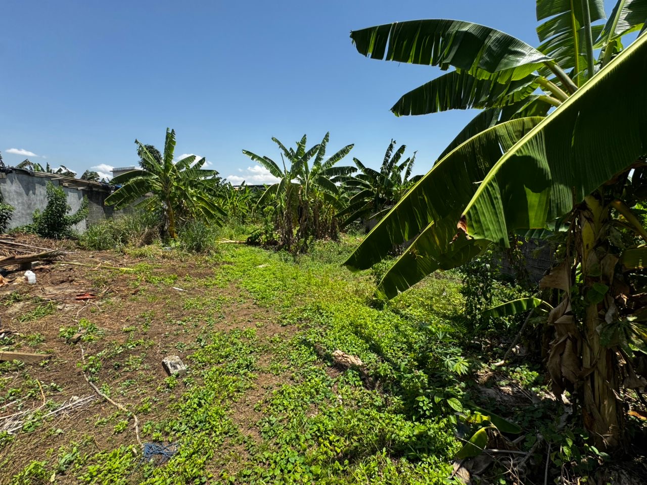 4206a337-7673-4b33-9e97-ab487728f856