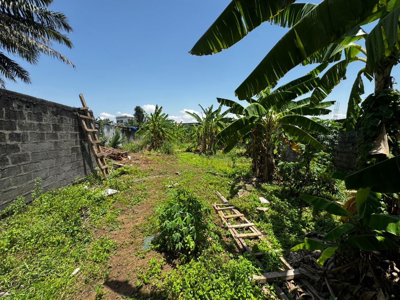 590c8a8f-48dd-47c8-8fd4-5b93179f702e