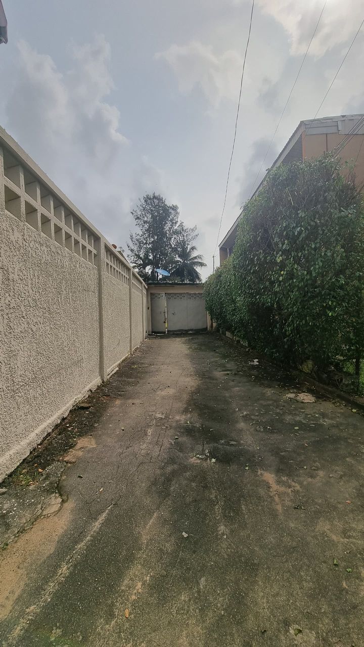 6c19e9df-a650-4e0a-bc45-7e2ffd4d31b5