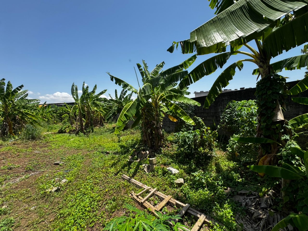 83495b4b-3966-4eb1-bc76-18eab324f629