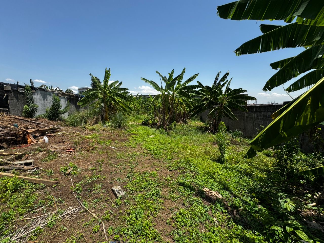 99c80932-cb59-4798-8084-e6a0ee599b49