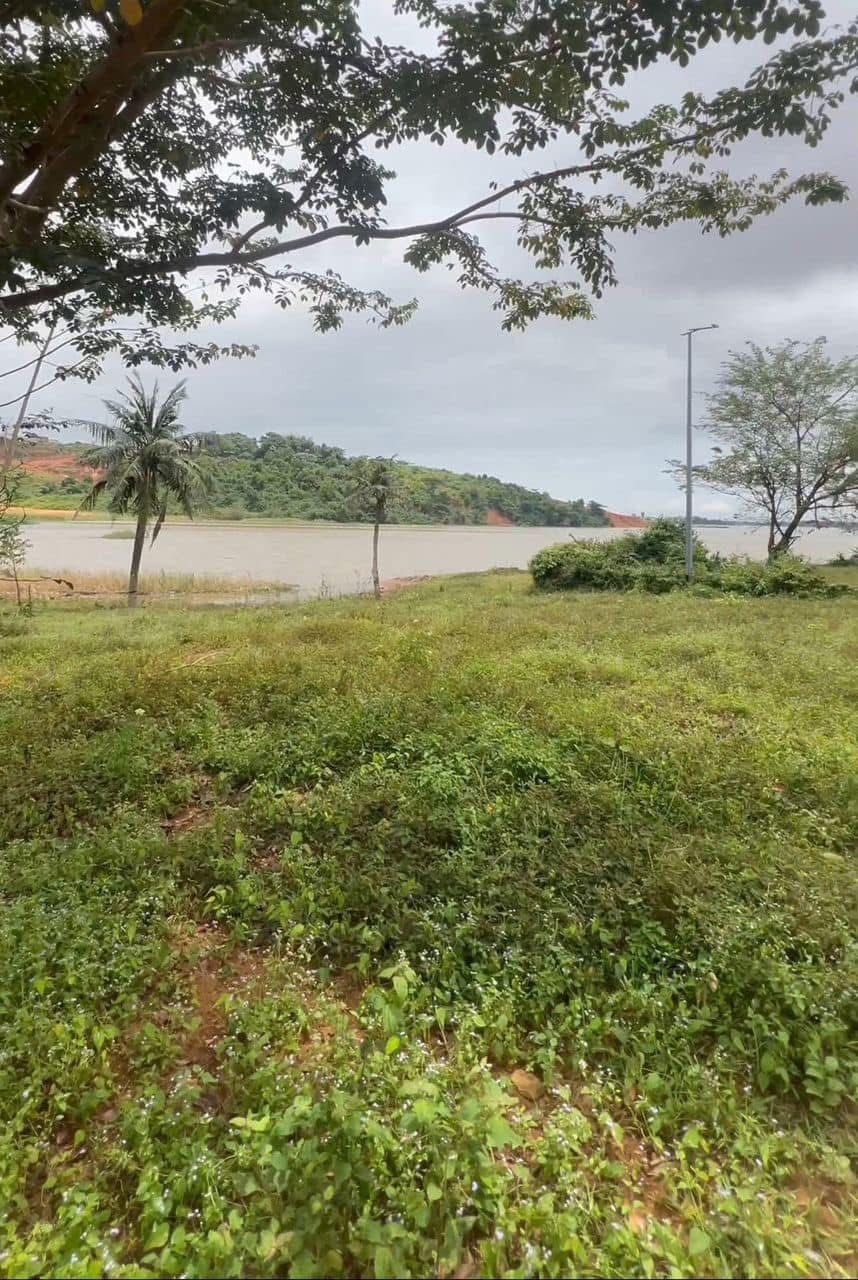 e4edd2da-cd55-4cee-8436-e600488db762